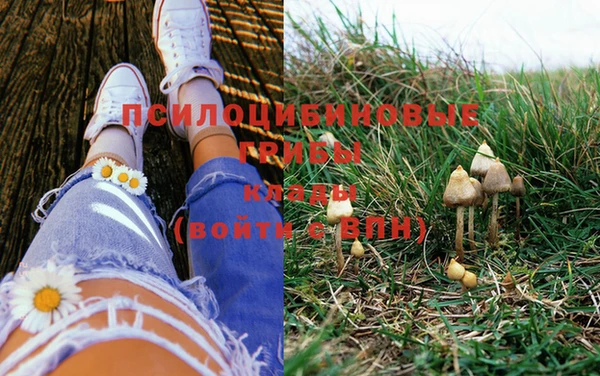 стафф Пересвет