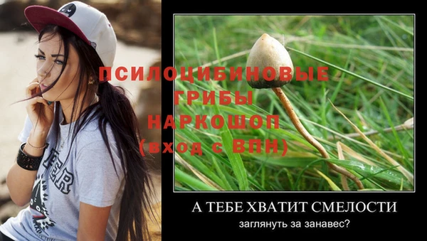 мяу мяу кристалл Переславль-Залесский