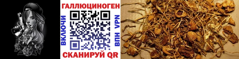 что такое   MEGA сайт  Галлюциногенные грибы Psilocybine cubensis  Архангельск 