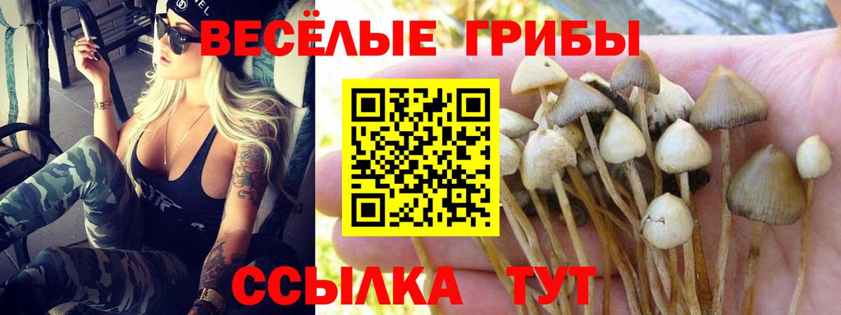 Псилоцибиновые грибы Magic Shrooms Архангельск